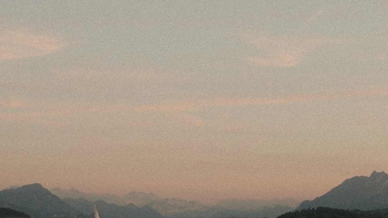 txvolg截图1